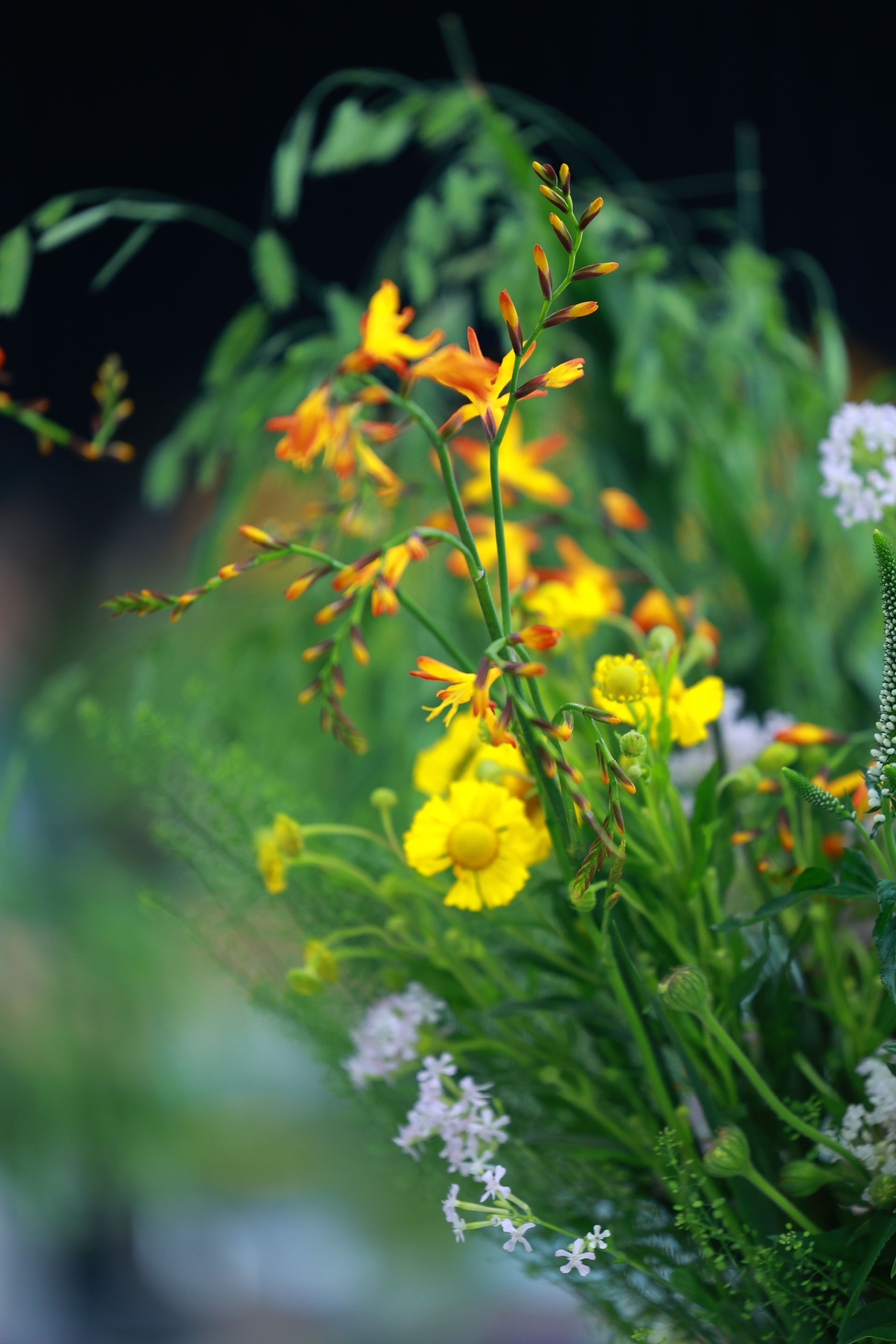 A lush, professionally designed garden