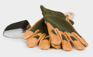 Garden gloves and a trowel resting in a freshly tended planting bed