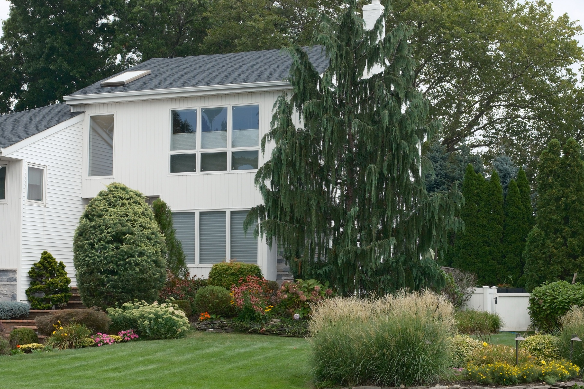 A modern white home with layered garden beds and ornamental grasses