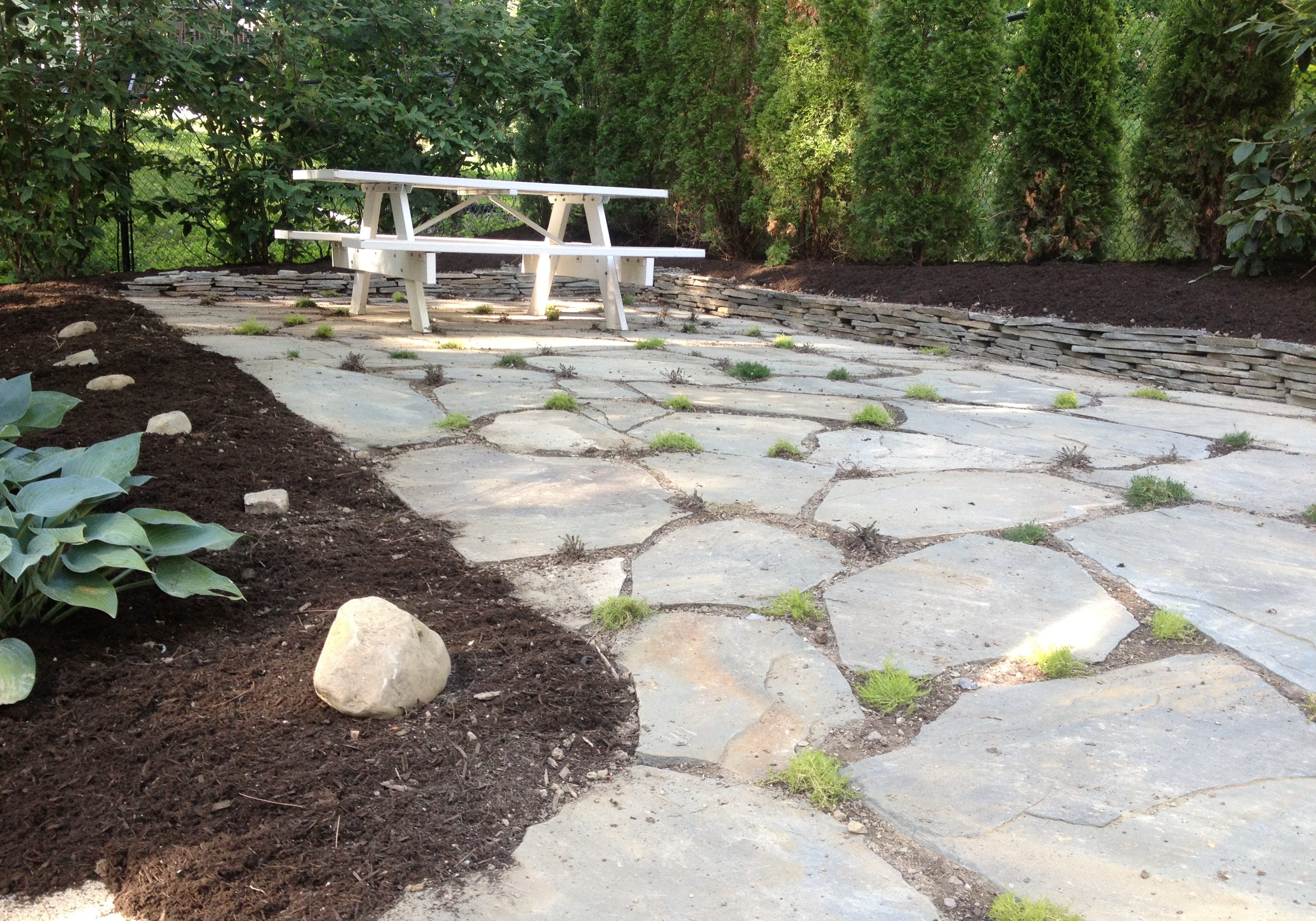 Spring & Fall Cleanup
